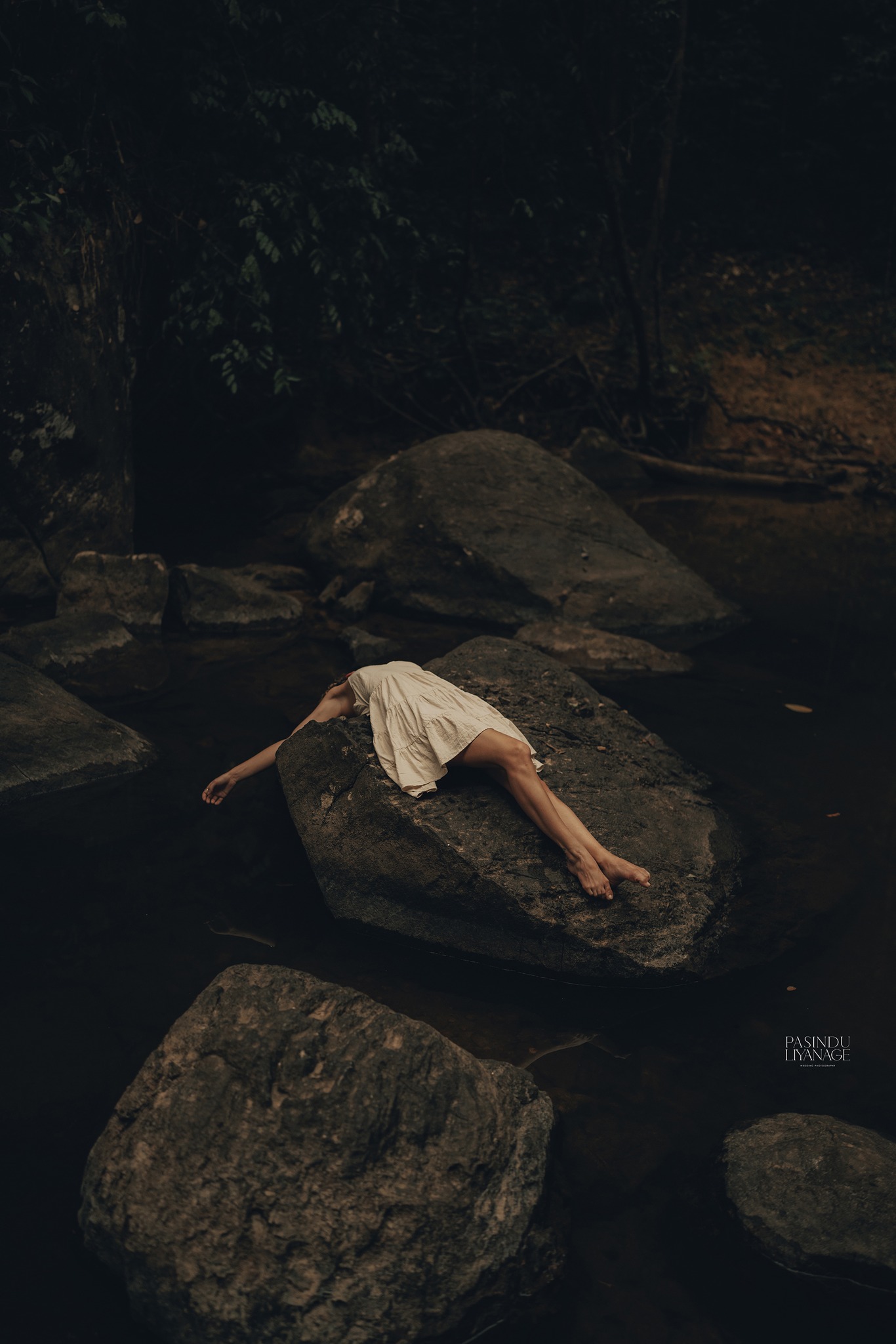 Featured Photography